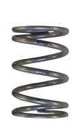 Kawasaki KRX1000 Secondary Spring-JBS Performance